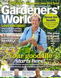 Free Sample Issue