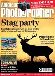 Free Sample Issue