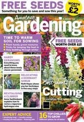Free Sample Issue