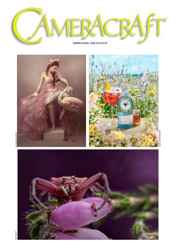 Free Sample Issue